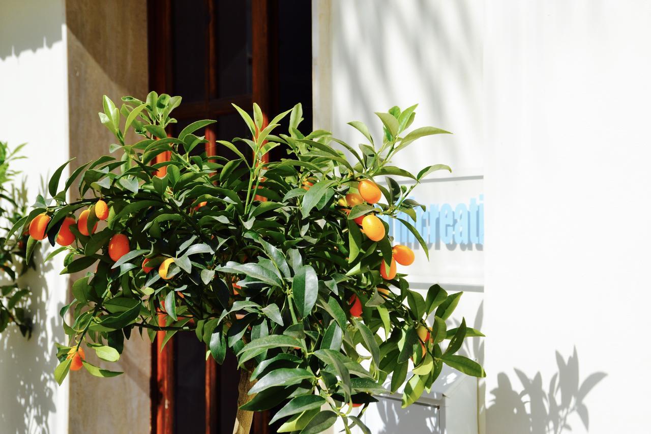 Caposud Residence And Beach Club Ispica Exterior foto